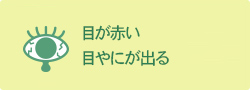 目が赤い・目やにが出る